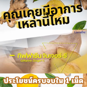 กิฟฟารีน จินเจอร์-ซี ขิง ขิงผง giffarine ข้อเสื่อมเข่า ปวดหัวไมเกรน ปวดข้อ ท้องอืดท้องเฟ้อ ขับลม มันในเลือด เหมาะกับทุกวัย ปลอดภัย มาตรฐาน GMP ผ่าน อย.ของแท้ ส่งฟรี