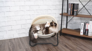 Cat Bed Pet Hammock Bed for Cats and Dogs Comfortable and Breathable Elevated Cat & Dog Nest Easy to Assemble Cover Removable and Washable Suitable for Indoor and Outdoor Use