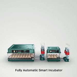 Fully Automatic Digital Incubator Chicken Poultry Hatcher Temperature Control egg tray Incubator egg incubator duck and goose Brooder Digital Humidity Temperature Control Hatching machine incubator for Chicken egg