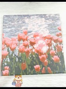 DIY Digital Oil Painting Colourful Cute Cartoon 20x20cm Canvas Healthy Acrylic Oil Waterproof  Moisture-proof Painting Kit for Adults Kids Children Beginner