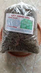 1kg cây ngải cứu sấy khô