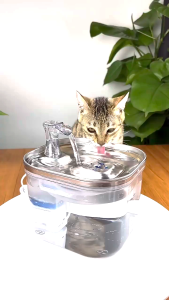 Cat Drinking Fountain Automatic Stainless Steel Pet Fountains Water Dispenser Ultra Quiet Pump Water Foutain for Multiple Pets