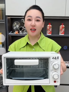 Electric Deep Fryer Fast Oil Cooking 1000W 2.5L Stainless Steel Pot with Basket Adjustable Temperature for Chicken Fries
