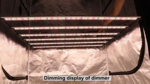 1000W Samsung LED EVO LM301H เติบโตแถบแสง UV IR ร่มการเจริญ Meanwell สำหรับเต็นท์ดอกไม้ รวมกับร่มเพื่อเติมเต็นท์ดอกไม้ในร่มการเจริญเติบโตของพืชเต็มสเปกตรัมพืชแสง