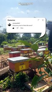 Madu hitam pahit naturafit obat herbal kencing manis diabetes ampuh