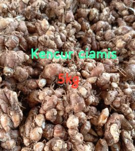 KEMASAN 5KG KENCUR CIKUR CIAMIS ASLI WANGI ENAK