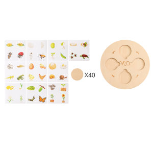 Wooden Life Cycle Puzzle Montessori Educational Toy Growth Circle Cognitive DIY Stickers Hands On Skill Thickened Board Toys