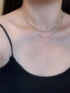 Titanium steel snakesbone necklace light luxury choker premium clavicle chain