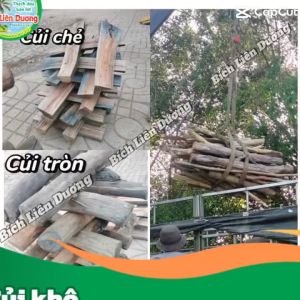 CỦI KHÔ LOẠI TRÒN ĐA NĂNG DÙNG NẤU NƯỚNG..