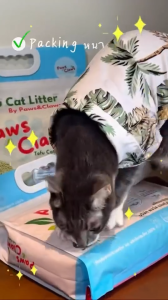 Paws & Claws ทรายแมวเต้าหู้ออร์แกนิค ทรายแมวสายสุขภาพ ไร้น้ำหอม ไร้สารแต่งกลิ่น ส่วนผสมจากธรรมชาติ ผลิตในประเทศไทย 6L.+1.2L.