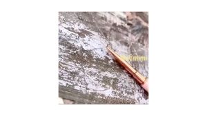 Cọ Nét 2 Đầu Cao Cấp Cọ nét 2 đầu siêu mảnh.cọ nét vẽ móng chuyên dụng