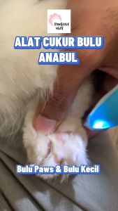 Alat Cukur Bulu Kucing & Pet Trimmer Paw: Cara Menggunakan Alat Cukur Bulu Elektrik untuk Anjing & Kucing