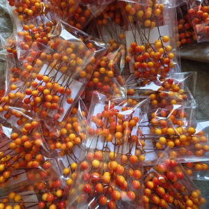 Christmas Snow Frosted Red Berry Artificial Winter Berry Stems for Christmas Vase Fillers DIY Home Table Centerpiece and Wedding Party Decor