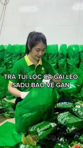 1kg Gồm 200 Túi Lọc Trà Cà Gai Leo Sadu Mát Gan I Hỗ Trợ Gan I Thanh Lọc Cơ