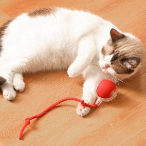 Tương Tác Mèo Đồ Chơi Bóng Tự Động Điện Cán Bóng Đồ Chơi Mèo Vật Nuôi Thông Minh Tự Động Trêu ghẹo Tự Động Thông Minh Điện Có Thể Điều Chỉnh Chế Độ Mèo Đồ Chơi