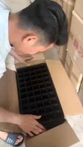 Khay ươm vỉ ươm hạt giống 72 lỗ 105 lỗ 128 lỗ(Mua SLL giá tốt)