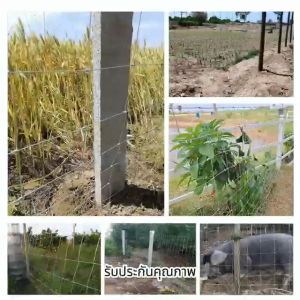 ส่งฟรี! ม้วนยาว 50เมตร รั้วตาข่ายถักปม รั้วตาข่ายแรงดึง (สูง0.9m-1.8m) ลวดตาข่าย ลวดเหล็กล้อมรั้ว ลวดล้อมไร่สวน รั้วตาข่าย รั้วเหล็ก