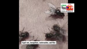 Ultrasonic Anti Mosquitoes/Rats Reject  Repeller Repelling ALAT PENGHALAU HALAU TIKUS ELEKTRIK PEST CONTROL 驱鼠器