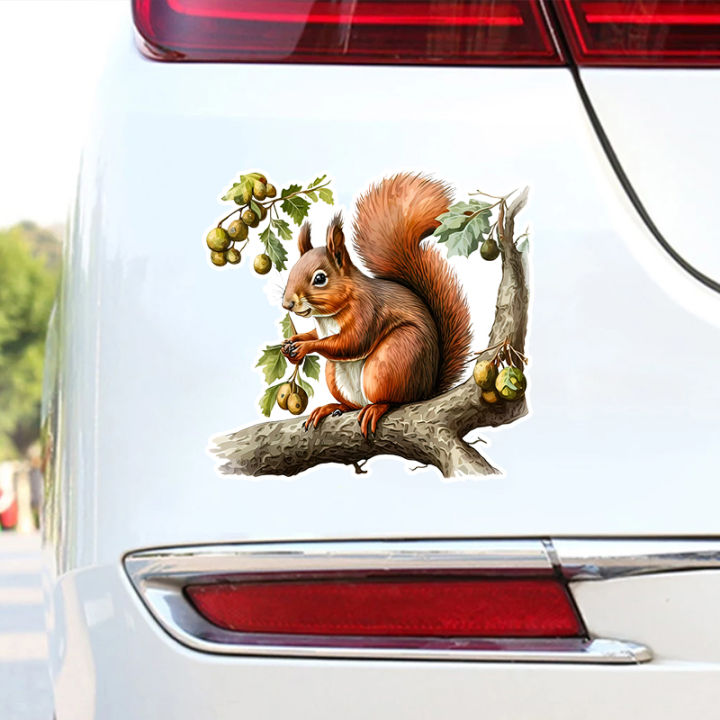 Squirrel in Tree Car Sticker Decoration  Waterproof Vinyl Decal Car Accessories Decor