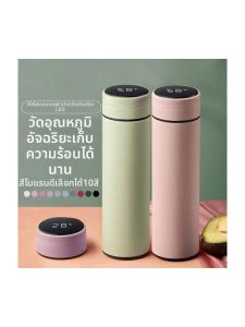 MOLORE | Temperature Displaying Stylish Thermos Bottle