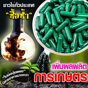 💥😲📣โรงงานมาเอง 💥🔖แค็ปซูลนาโนพืชผล 💥🔖เร่งพืชโตไว เร่งผลิต น้ำหนักดี