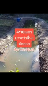 【500 ไมครอน】 พลาสติกปูบ่อ 6X10 8X10 6X8 4X5 4X8 4X20 เมตร สีดำ หนา 0.5 มิล ผ้ายางปูบ่อ ปูบ่อน้ำ ปูบ่อปลา สระน้ำ โรงเรือน พลาสติกโรงเรือน Greenhouse บ่อน้ำ สระน้ำ LDPE