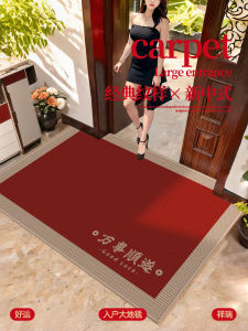 New 2025 Entrance Door Mat Home Use Mudroom Door Mat Anti-Slip Sound Absorption Square Rectangle Door Mat for Living Room Bedroom