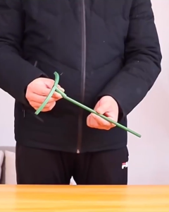 Interlocking Stackable Curve T-Shape Plant Support Stake | Penyangga Penopang Tanaman Bentuk T Melengkung Desain Modular