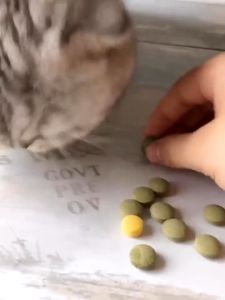 Viên Cỏ Mèo Gimcat GrasBits tiêu búi lông hỗ trợ tiêu hóa bổ sung chất xơ nhập Đức (lẻ)