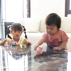 Jumping Walking Chicks Toys Kids Educational Toy Pet toys Cute Plush Wind Up Chicken Toy Mainan Anak Ayam Melompat Budak