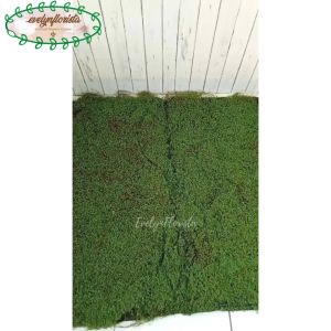 Karpet Lumut Sintetis Natural Lumut Artificial Dekorasi Taman Hiasan Tanaman Hias