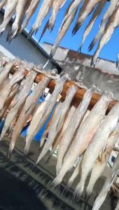 Khô Cá Khoai Loại to Vị Nhạt thơm ngon -ĐẶC SẢN MINH TRIẾT