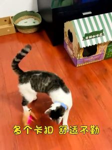 ปลอกคอล่อแมว เล่น ไม้ตกแมว/ไม้ตบแมว ปลอกคอเเมว/ของแมว ของใช้แมว ซิลิโคนนิ่ม สวมใส่สบาย