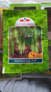 BENIH TIMUN BANDANA F1 CAP PANAH MERAH // BENIH MENTIMUN