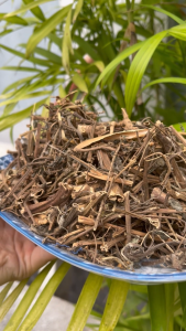 [Hàng mới về] Cây vòi voi khô tấn phát 500g - Thảo Dược Tấn Phát - Hỗ trợ cải thiện sức khoẻ - chuyên dùng để pha trà
