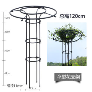 Dù Sân Vườn Ngoài Trời Hình Cây Nho Vật Có Chân Đế Nấm Đường Sắt Cây Nho Sen Leo Hoa Hồng Giá Hoa Hoa Hoa Hoa Hoa Hoa Hỗ Trợ Cực