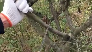 เลื่อยญี่ปุ่น คมมาก พกพาสะดวก ตัดกิ่งไม้ เลื่อยมือ เลื่อยมือ ขนาดเล็ก สไตล์ญี่ปุ่น สําหรับงานไม้ สวน กลางแจ้ง