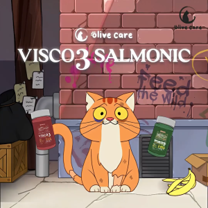 Olive Care Minyak Ikan Kucing VISCO3 Murni dan Alami Non-GMO Tinggi Omega 3 EPA DHA dan Omega 6 Fish Oil