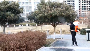 REAIM Gasoline Knapsack Sprayer Agriculture 2-stroke Engine  20 liters Tank capacity ardening Tool pesticide high-pressure