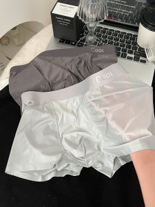 Quần Lót Nam Satin Lụa Băng Túi Lớn Thoáng Khí Cạp Vừa Quần Lót Nam Thể Thao Mùa Hè Quần Lót Nam Bằng Nylon