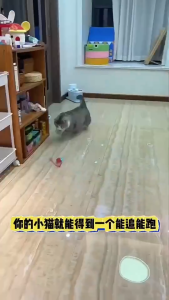 Rubvrenti Cat Interactive Ball Toy Automatic Self-Moving Cat Interactive Ball Magic Entertainment for Cats