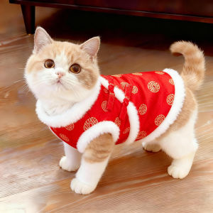 Petone dOrage | Warm Thickened Cat Clothes For British Short-hair Kittens