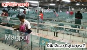 8M 19 ชั้นกระเป๋า DTAC กระเป๋าสุทธิด้วยกระเป๋าดักตกปลา กระเป๋าบ่อปลา และเครื่องมือตกปลา