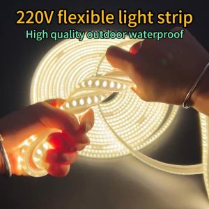 LED light and badge lamp 220V bedroom atmosphere light strip very bright neon light 15m 20M
