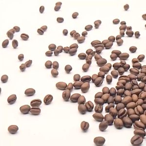 Besao Mt. Province | Single Origins Arabica | Basilio Coffee to Share