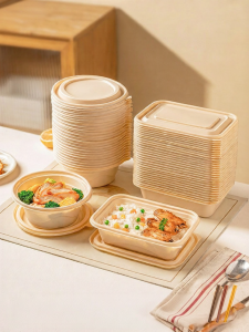 MODERN SWEETHOME | Microwave Safe Lunch Box Portable