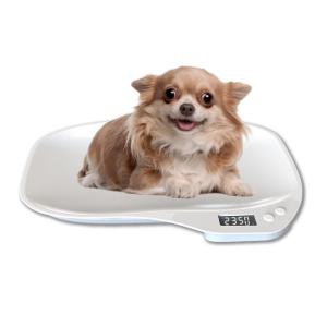 ZHUOLESHI | Accurate Pet and Small Animal Electronic Scale