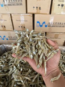[NEW] ‼️ Ikan Bilis Pangkor (belum kupas) | 鳀鱼 | crispy anchovies ‼️