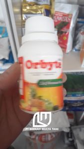 Obat Cair Semprot Orbyte 480 SL Zat Pematang Pemasak Buah 100 ml Original