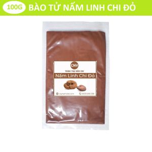 Bào tử nấm linh chi đỏ Việt Nam 100g (Sạch 999%) - Cây Nấm Việt